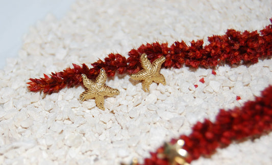 Pendiente Estrella de Mar